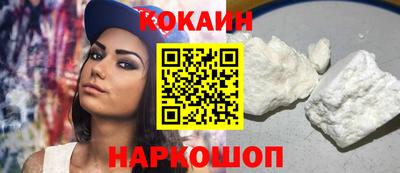 стаф Гай