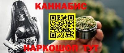 стаф Гай