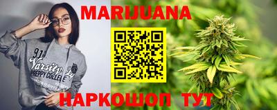 стаф Гай