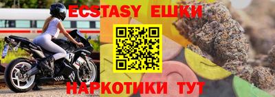 стаф Гай