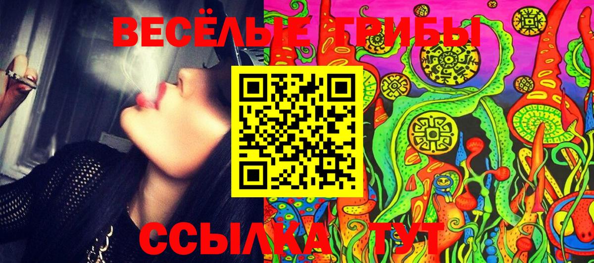 Галлюциногенные грибы GOLDEN TEACHER Раменское
